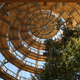 Illustration for article titled Germanys new 18-story Tree Top Walk is shaped like a giant egg